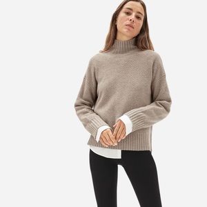 NWT Everlane Recashmere Stroopwafel Turtleneck